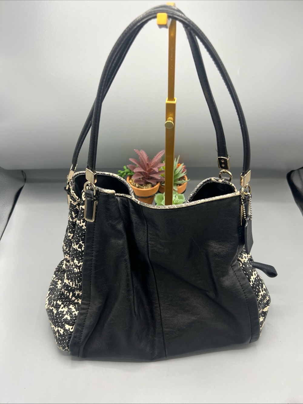 Coach Leather Snakeskin Purse Women Zip Magnetic Shoulder Top Hand Bag